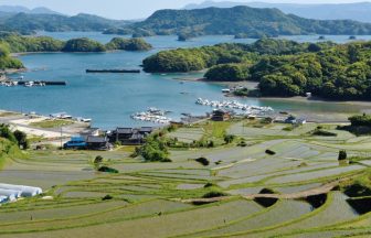 大浦の棚田