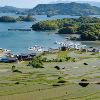 大浦の棚田