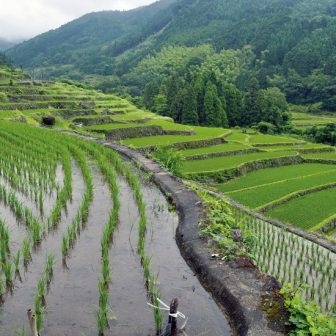 寒川の棚田