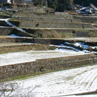 羽高の棚田