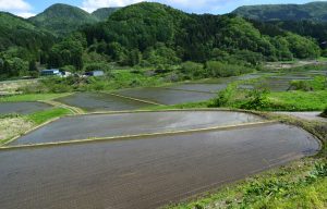 大川原棚田