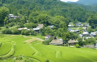 長谷の棚田