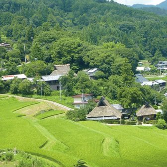 長谷の棚田