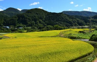大川原の棚田