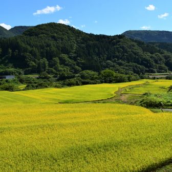 大川原の棚田