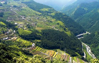 千町の棚田