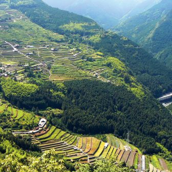 千町の棚田