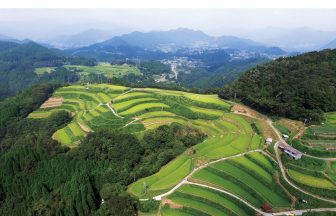 徳別当の棚田