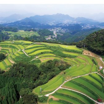 徳別当の棚田