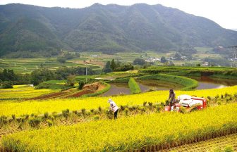 栃又の棚田