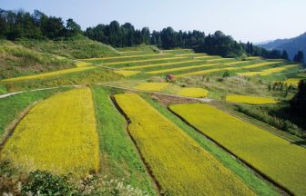 狐塚の棚田