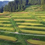 大開（おおびらき）｜　新潟県柏崎市