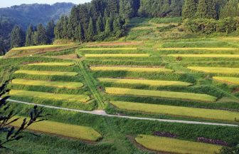 大開の棚田