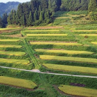 大開の棚田