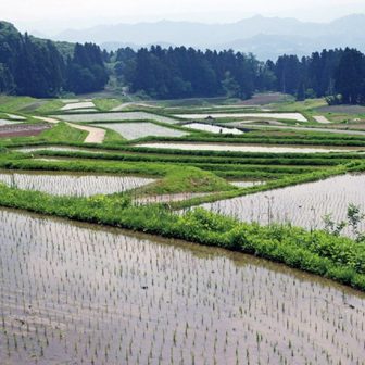 梨ノ木田の棚田