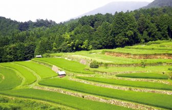 上牛尾寺家の棚田