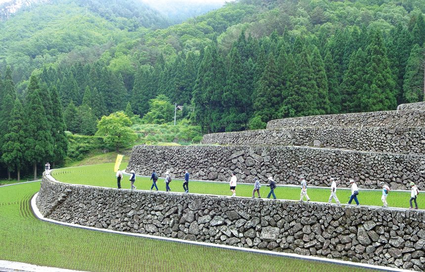 都川の棚田