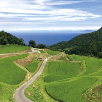 岩首棚田1