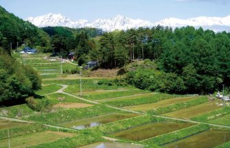 慶師沖の棚田1