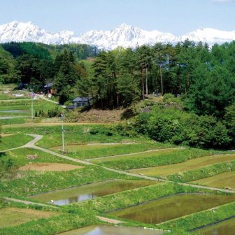 慶師沖の棚田1