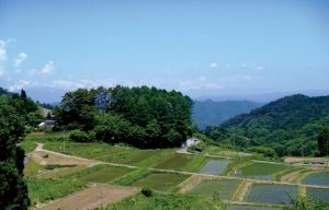 慶師沖の棚田2