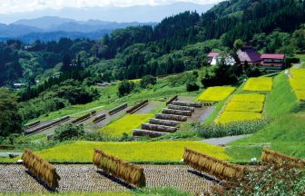 栃倉の棚田1