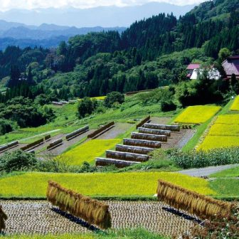 栃倉の棚田1