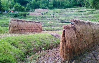 月布施の棚田