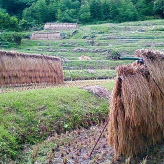 月布施の棚田