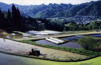 塩本の棚田