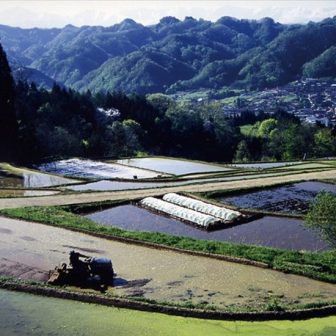 塩本の棚田