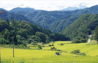 根越沖の棚田