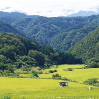 根越沖の棚田