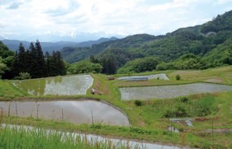 原田沖の棚田