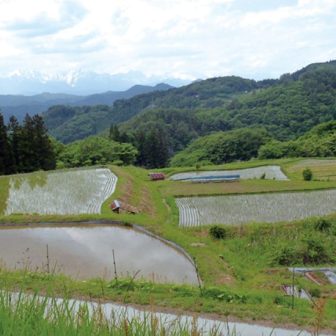 原田沖の棚田