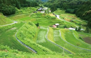 滝町の棚田