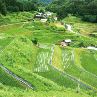 滝町の棚田