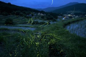 「坂折棚田」　撮影者：伊藤憲男　撮影地：岐阜県恵那市坂折棚田　撮影日時：2022年7月6日