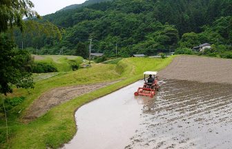 白川の棚田