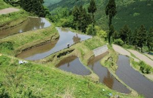 上地・京が原棚田