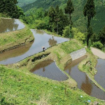 上地・京が原棚田