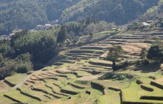 中垣内棚田