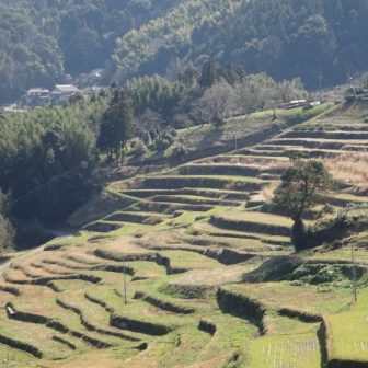 中垣内棚田