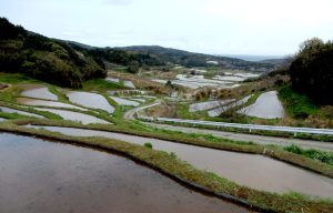 宇津の棚田