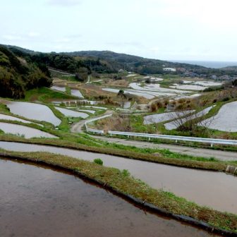 宇津の棚田