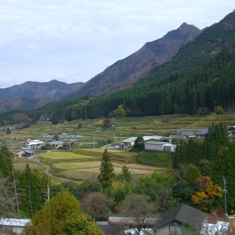 日蔭の棚田