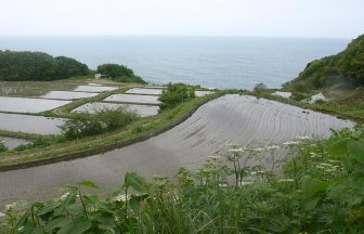 暮坪の棚田