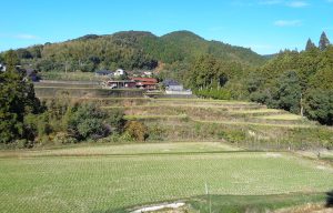 二見平野棚田