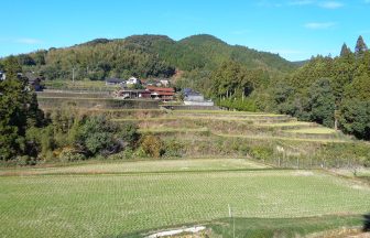 二見平野棚田
