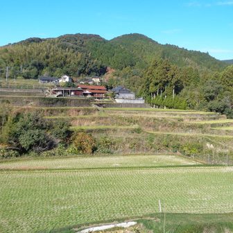 二見平野棚田